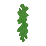 Selkie Runner